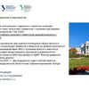 Основные направления и примеры проектов УралДобро - УралДобро