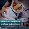 Крымский кот-блогер Мостик поддержал екатеринбургскую акцию «Для тех, у кого лапки» - УралДобро