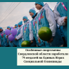  Особенные спортсмены Свердловской области заработали 79 медалей на Единых Играх Специальной Олимпиады  - УралДобро
