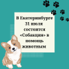 В Екатеринбурге 31 июля состоится «Собакция» в помощь животным  - УралДобро