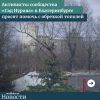 Активисты сообщества «Сад Нурова» в Екатеринбурге просят помочь с обрезкой тополей - УралДобро