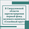 В Свердловской области зарегистрирован первый фонд целевого капитала «Семейный круг» - УралДобро