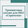 Тренинговая сессия для НКО «Стратегия» - УралДобро