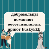 Добровольцы помогают  восстанавливать приют HuskyEkb - УралДобро