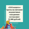 «ЗООзащита»: траты на питание подопечных ежедневно составляют 35 000 рублей  - УралДобро